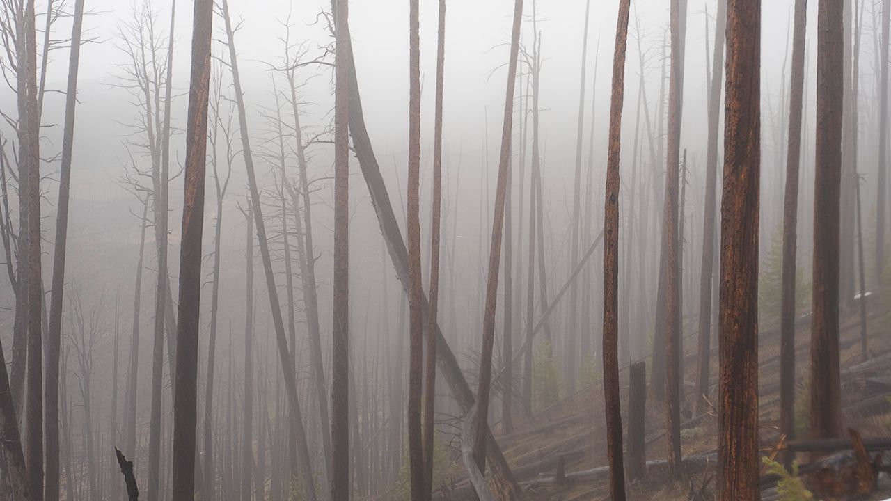 Paisajes fantasmales