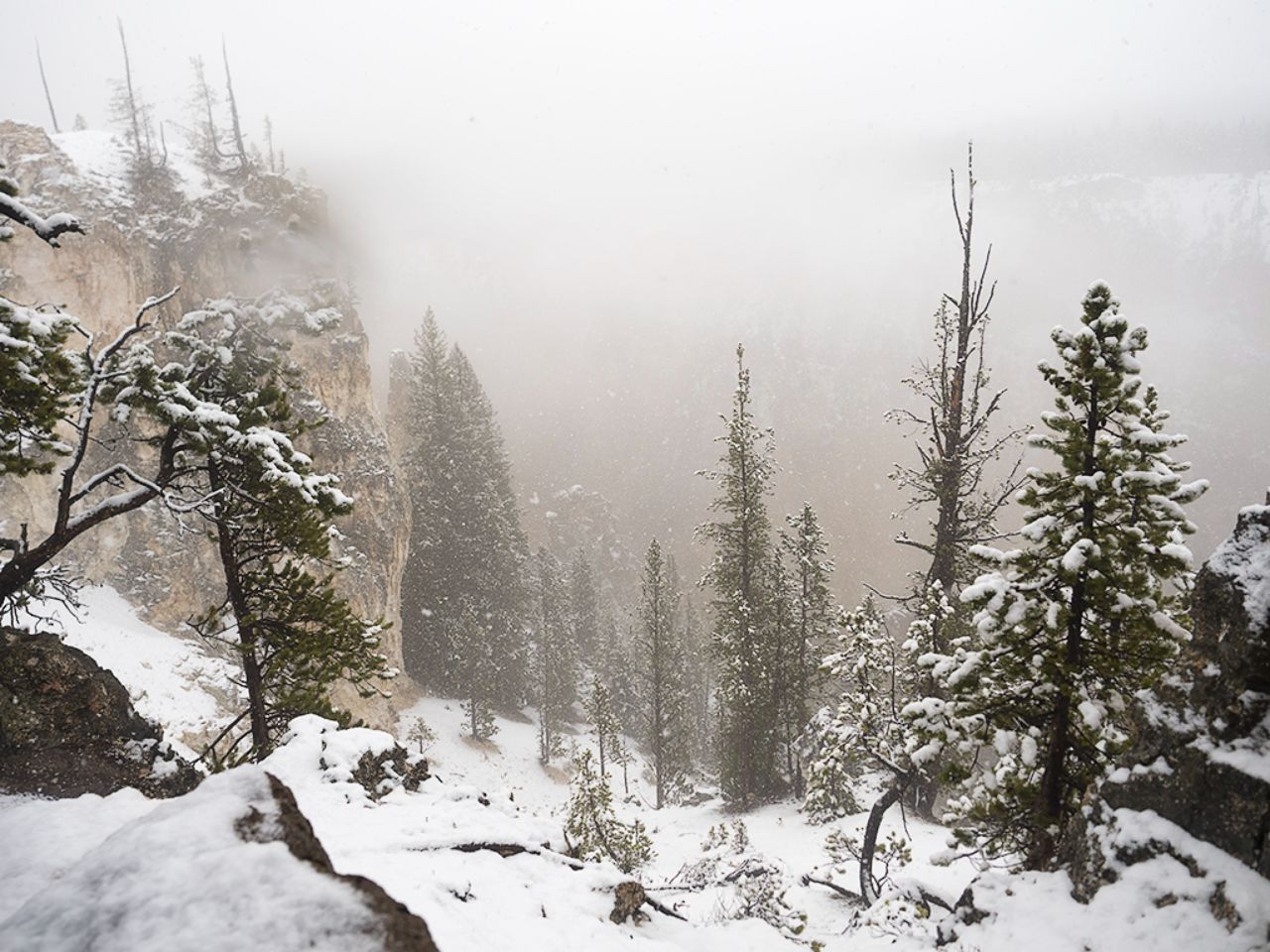 Nieve en el cañón del río Yellowstone